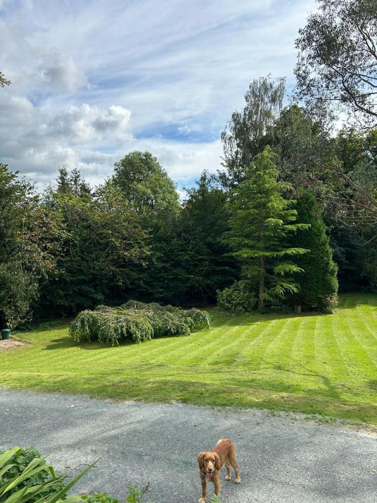 Holiday home Clarefoot