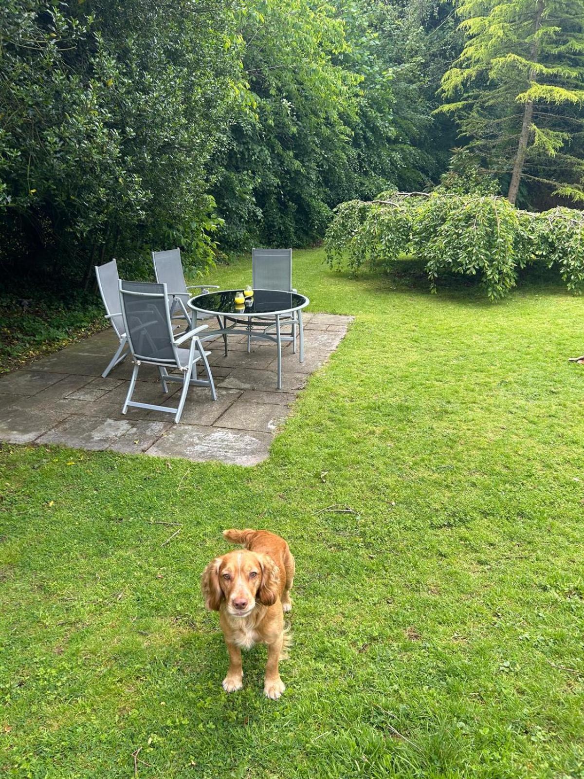 Holiday home Clarefoot