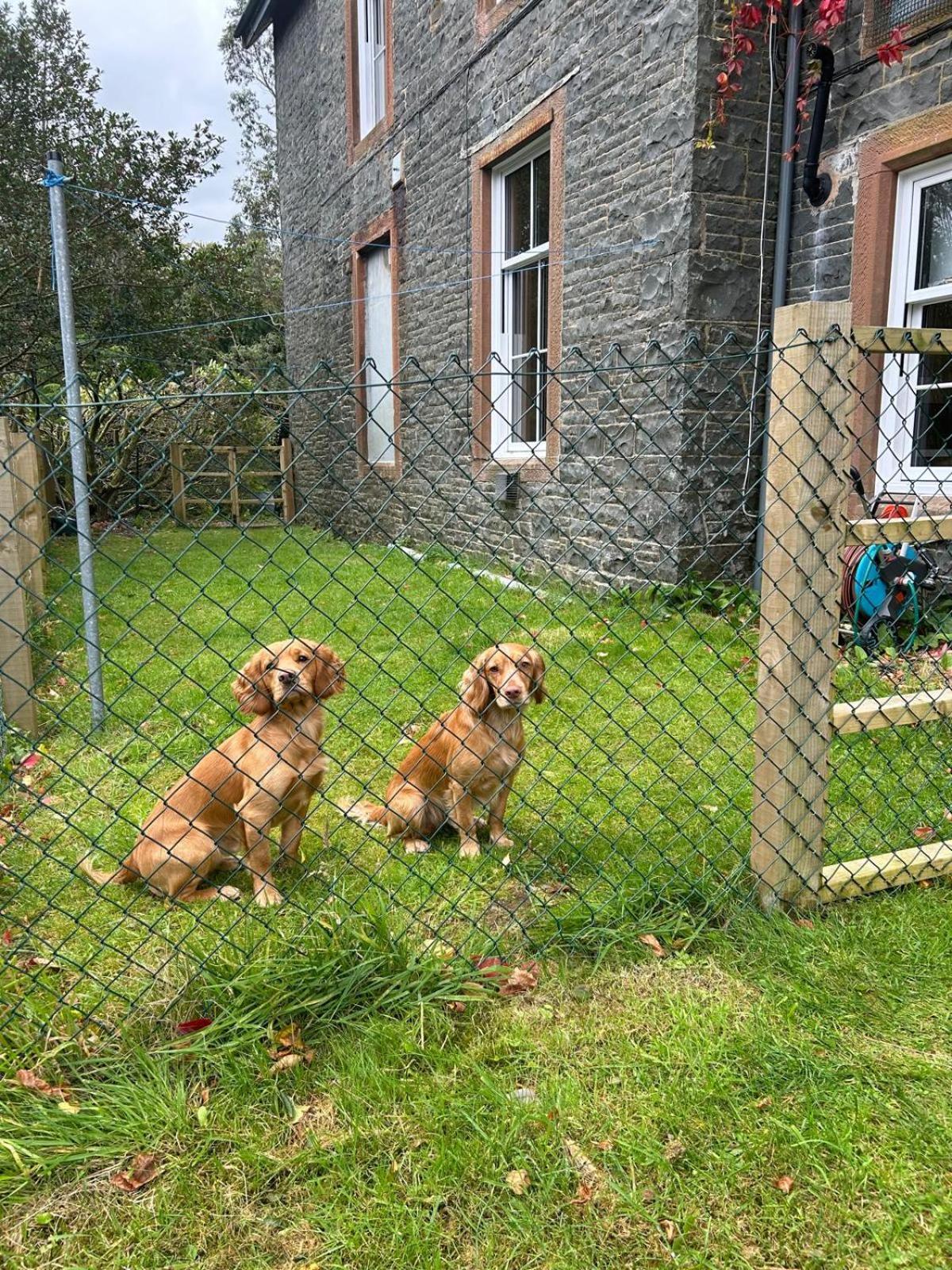 Clarefoot Holiday home *
